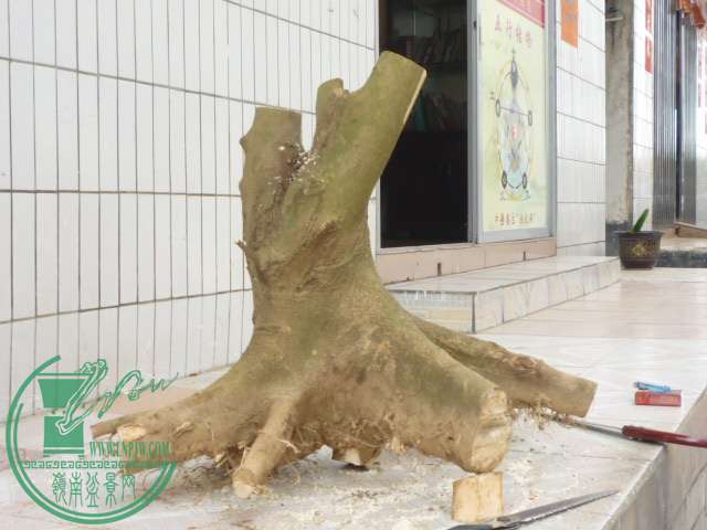 P1080266.JPG