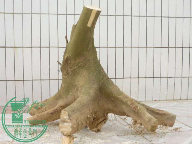 P1080267.JPG