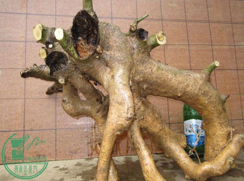 QQͼƬ20150407142210.jpg