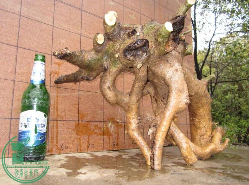 QQͼƬ20150407142229.jpg