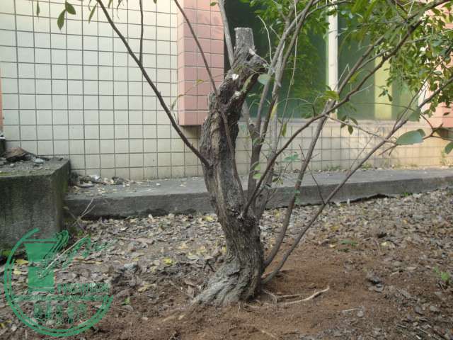DSC06282.JPG