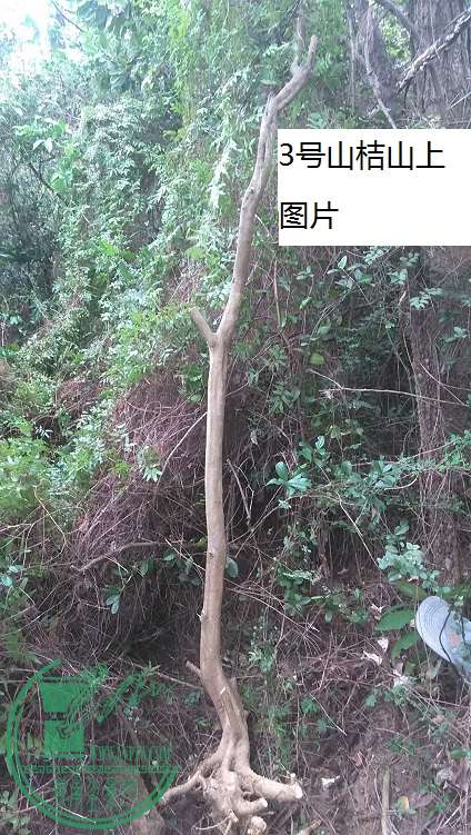 QQͼƬ20150408195016.jpg