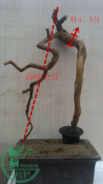 3_1.jpg