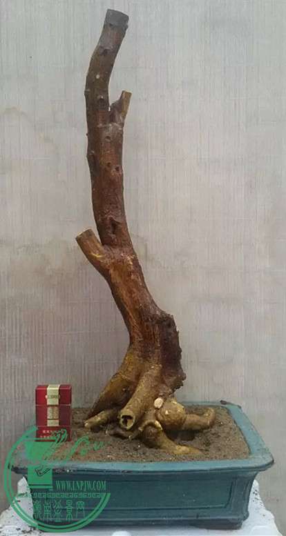 11_.jpg