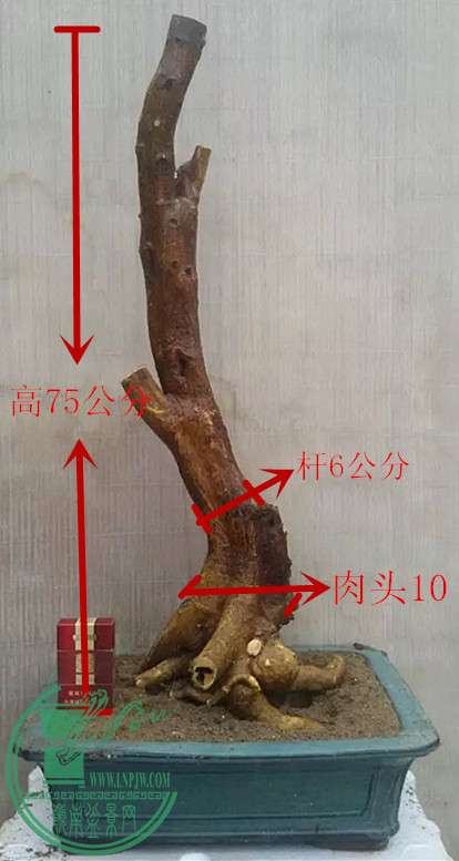 11_1.jpg