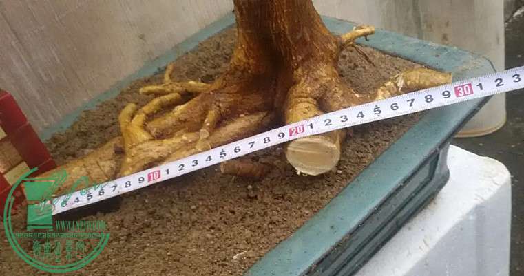 24_.jpg