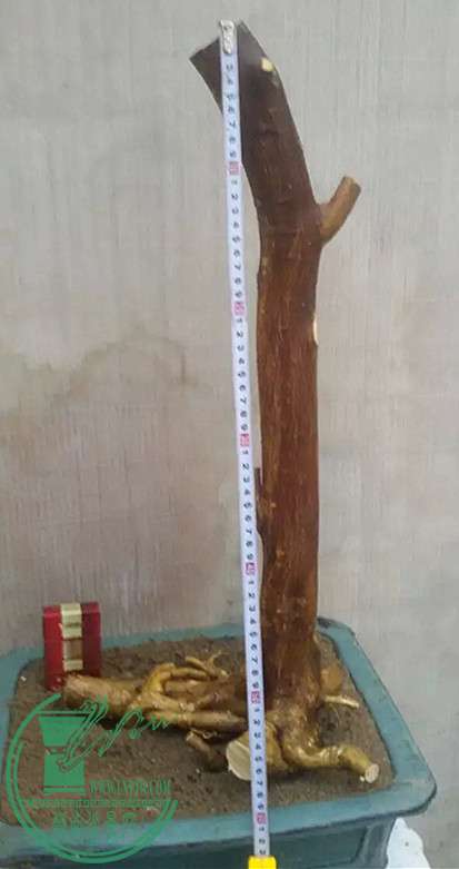 25_.jpg
