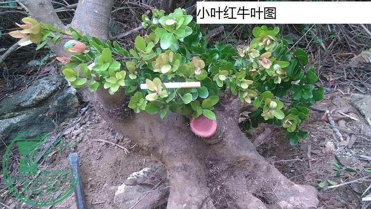 QQͼƬ20150409145404.jpg