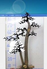 QQͼƬ20150409234327.jpg