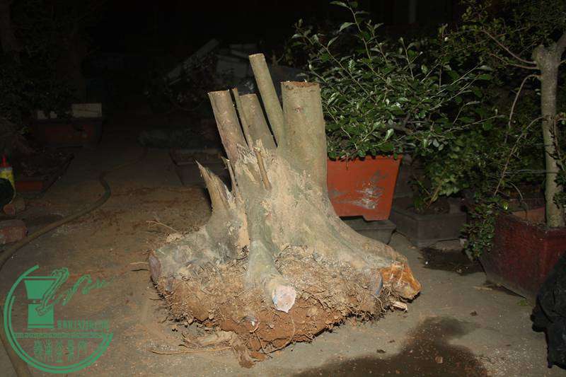 Ƭ20131026ۺ 2674.jpg