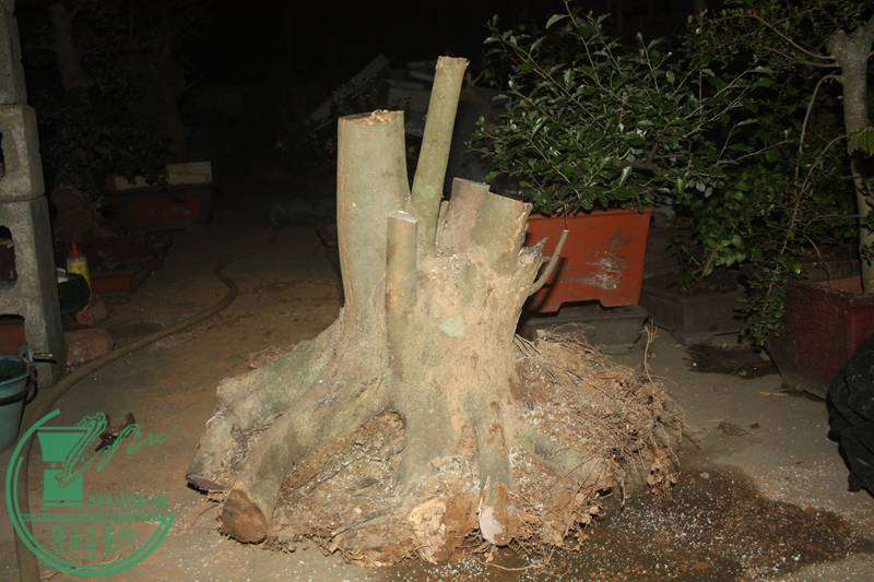 Ƭ20131026ۺ 2690.jpg