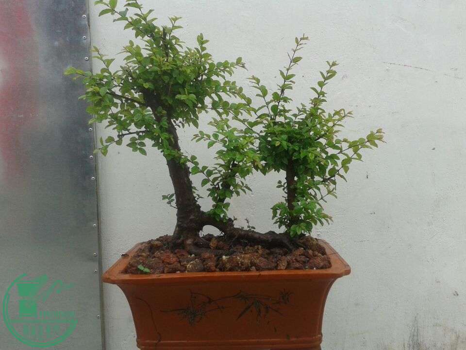 QQͼƬ20150410151407.jpg