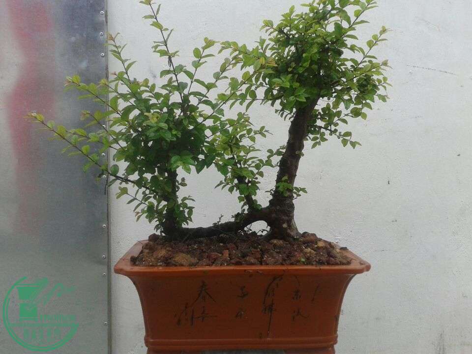 QQͼƬ20150410151411.jpg