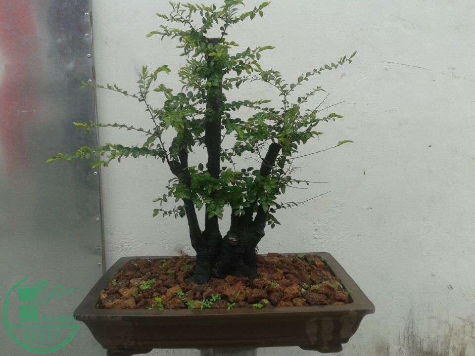 QQͼƬ20150410151330.jpg