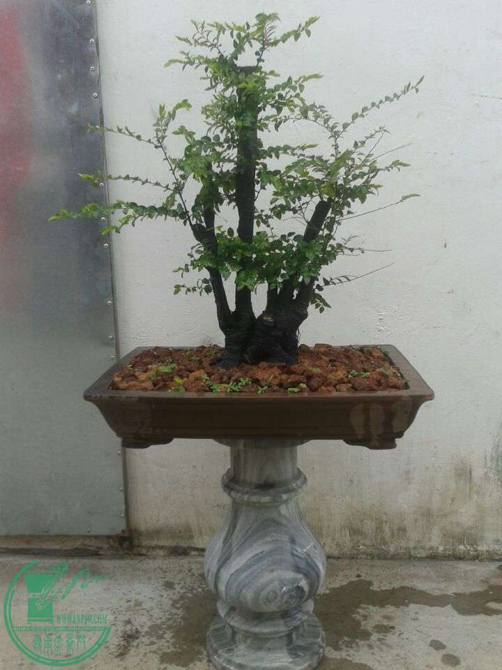 QQͼƬ20150410151340.jpg