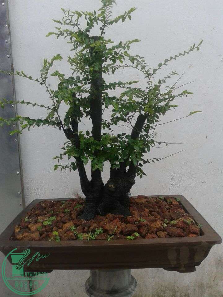 QQͼƬ20150410151344.jpg