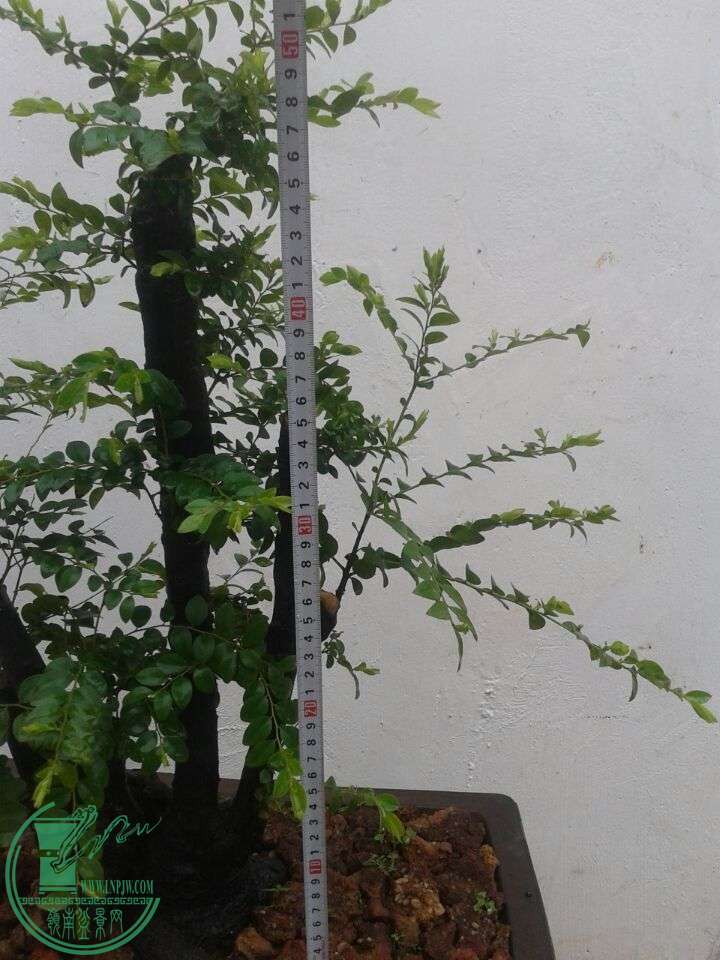 QQͼƬ20150410151354.jpg