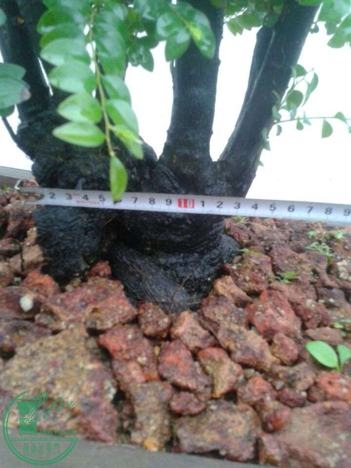 QQͼƬ20150410151359.jpg