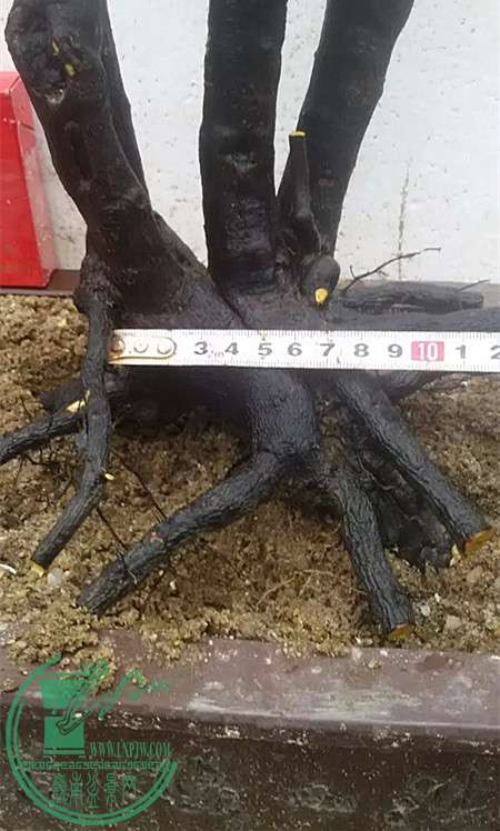 3_.jpg