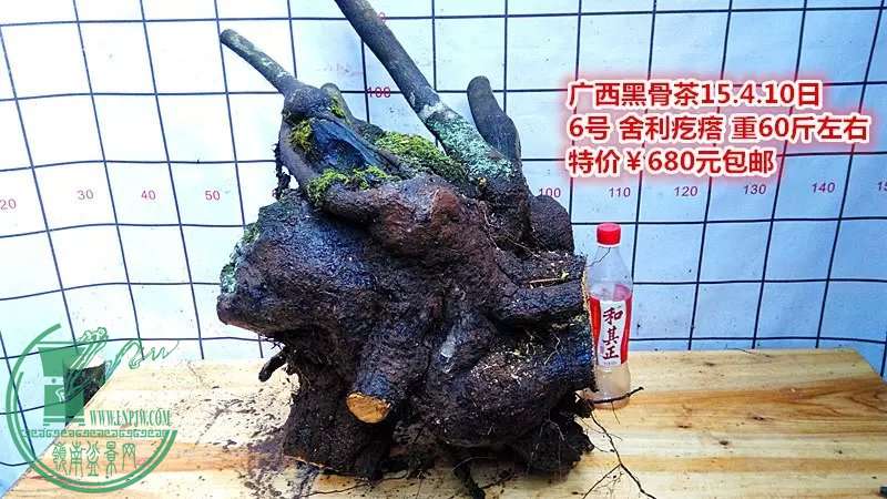 psb (19).jpg