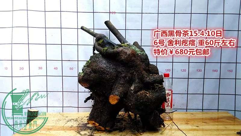 psb (20).jpg
