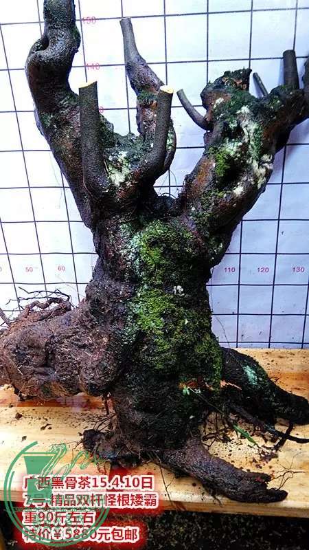 psb (28).jpg