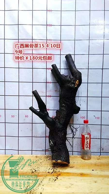 psb (31).jpg