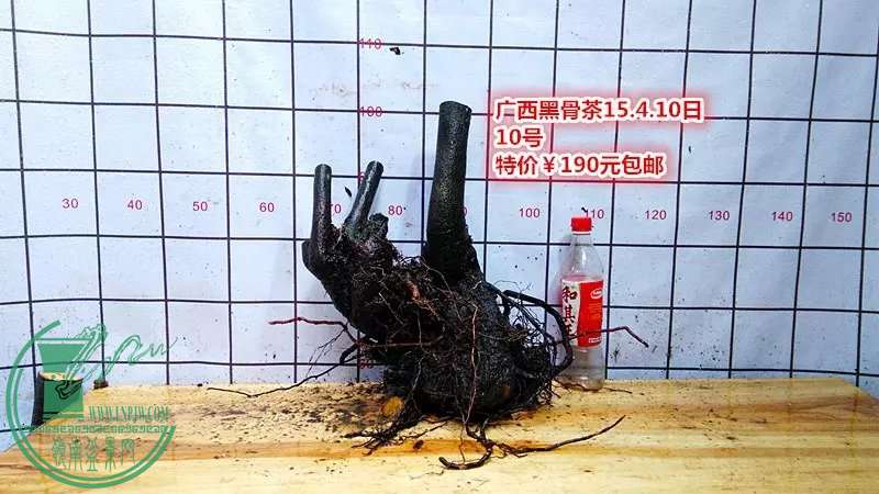psb (34).jpg