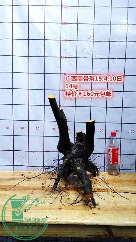 psb (41).jpg