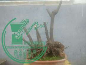 3de001ed2e738bd47caa8acaa58b87d6267ff913.jpg
