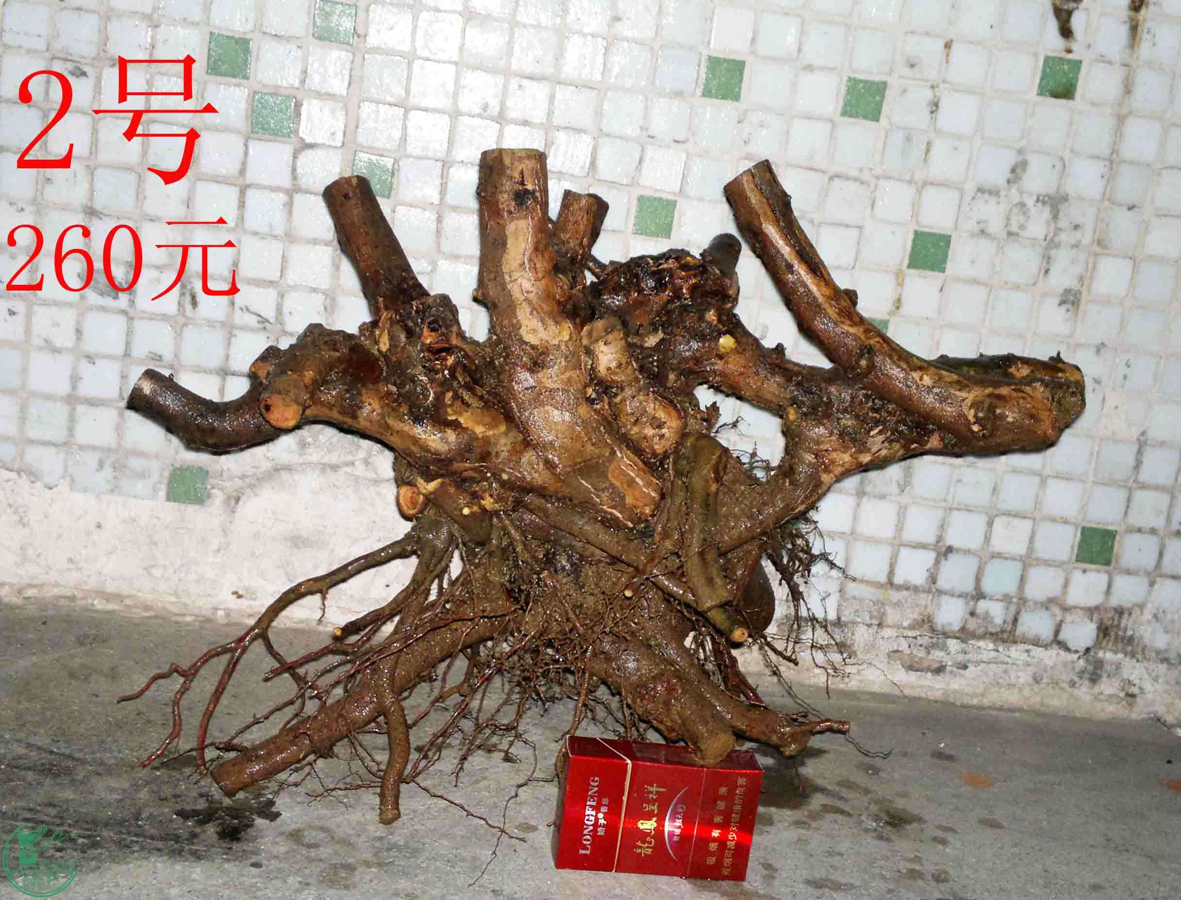 201504104626.jpg