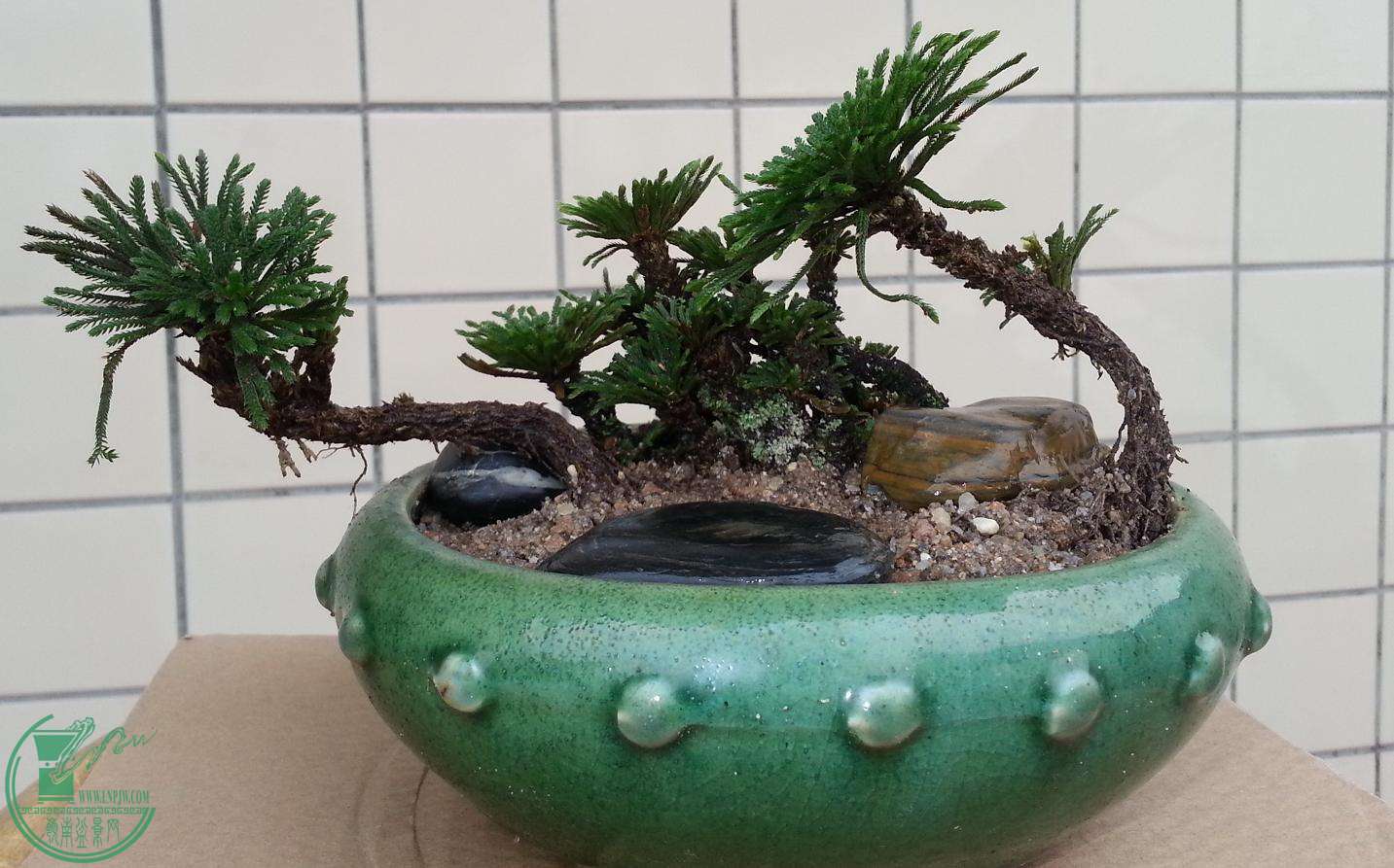 20150411_162138.jpg