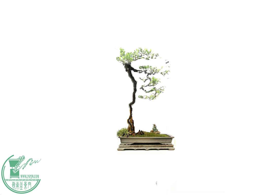 P1130605__.jpg