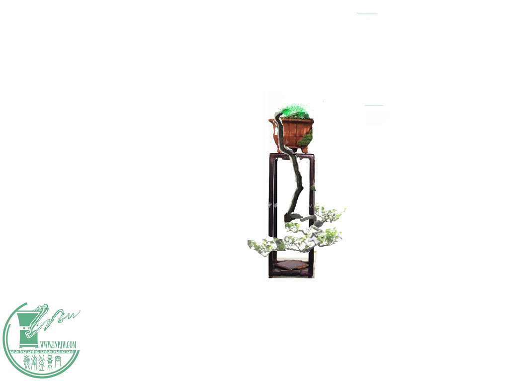 P1130619__.jpg