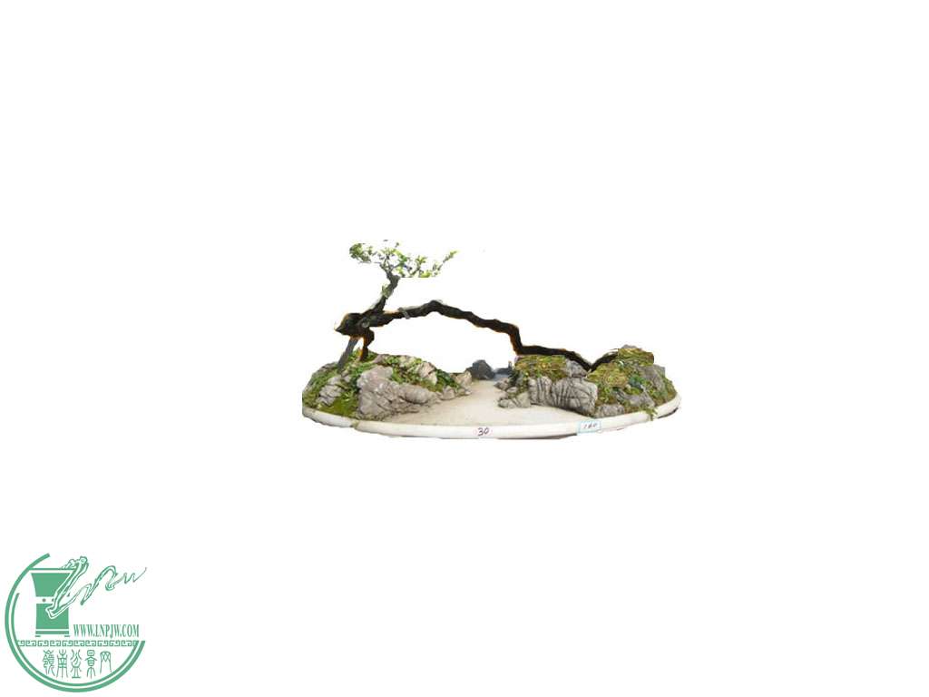P1130621__.jpg