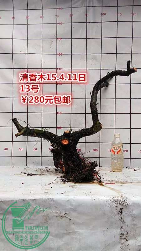 psb (27).jpg