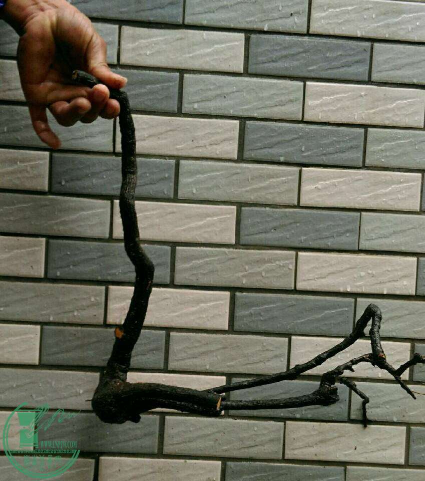 53e43ad0f801bf39.jpg