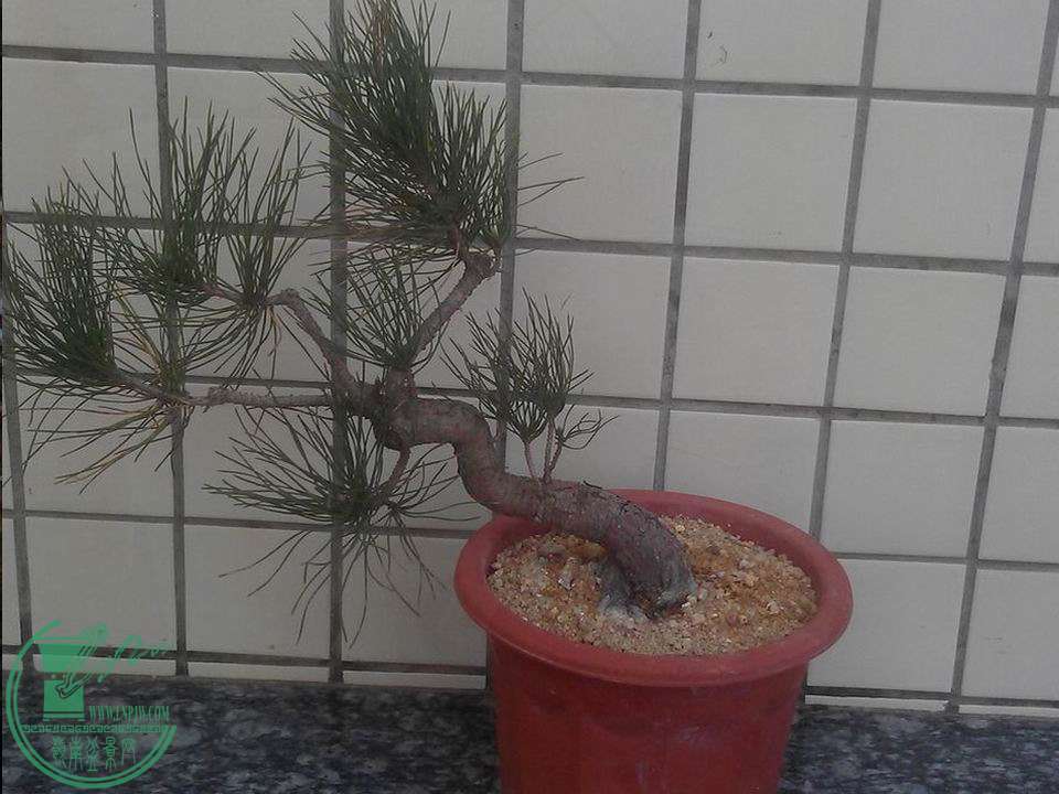 02a.jpg