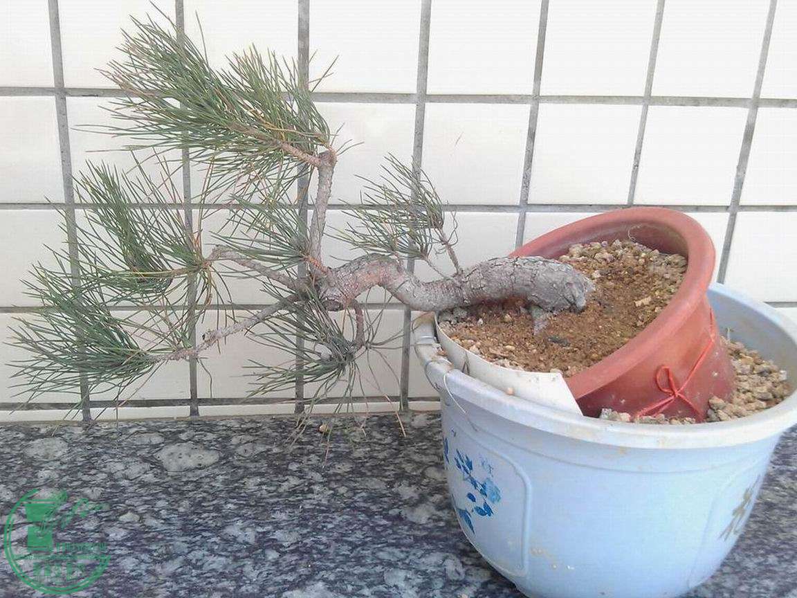 302.jpg