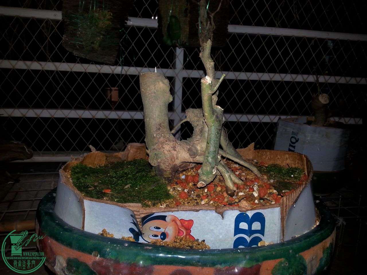 IMG20150412205201.jpg