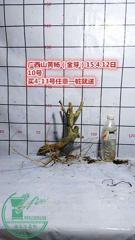 psb (21).jpg