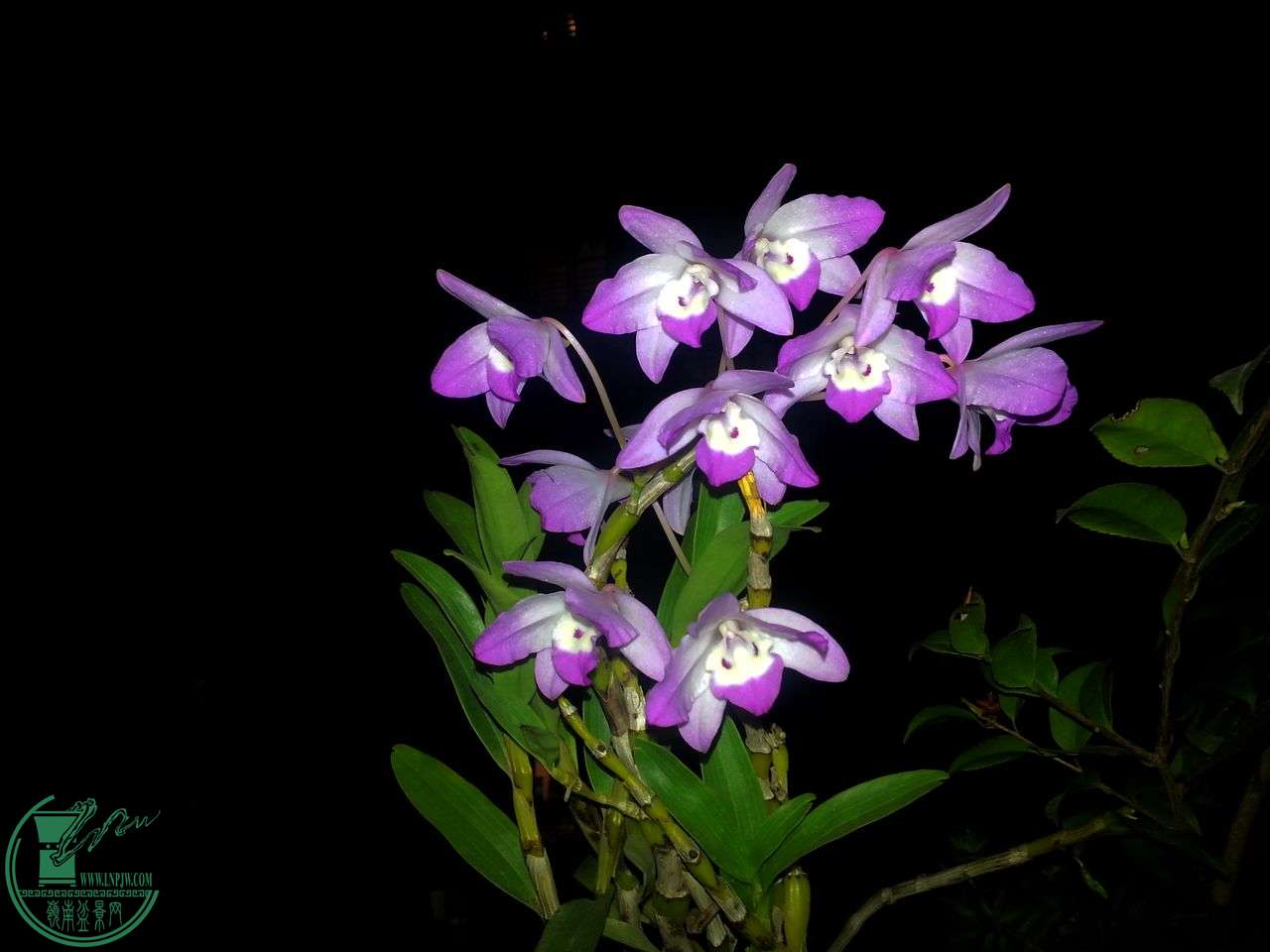 20150324_204733.jpg