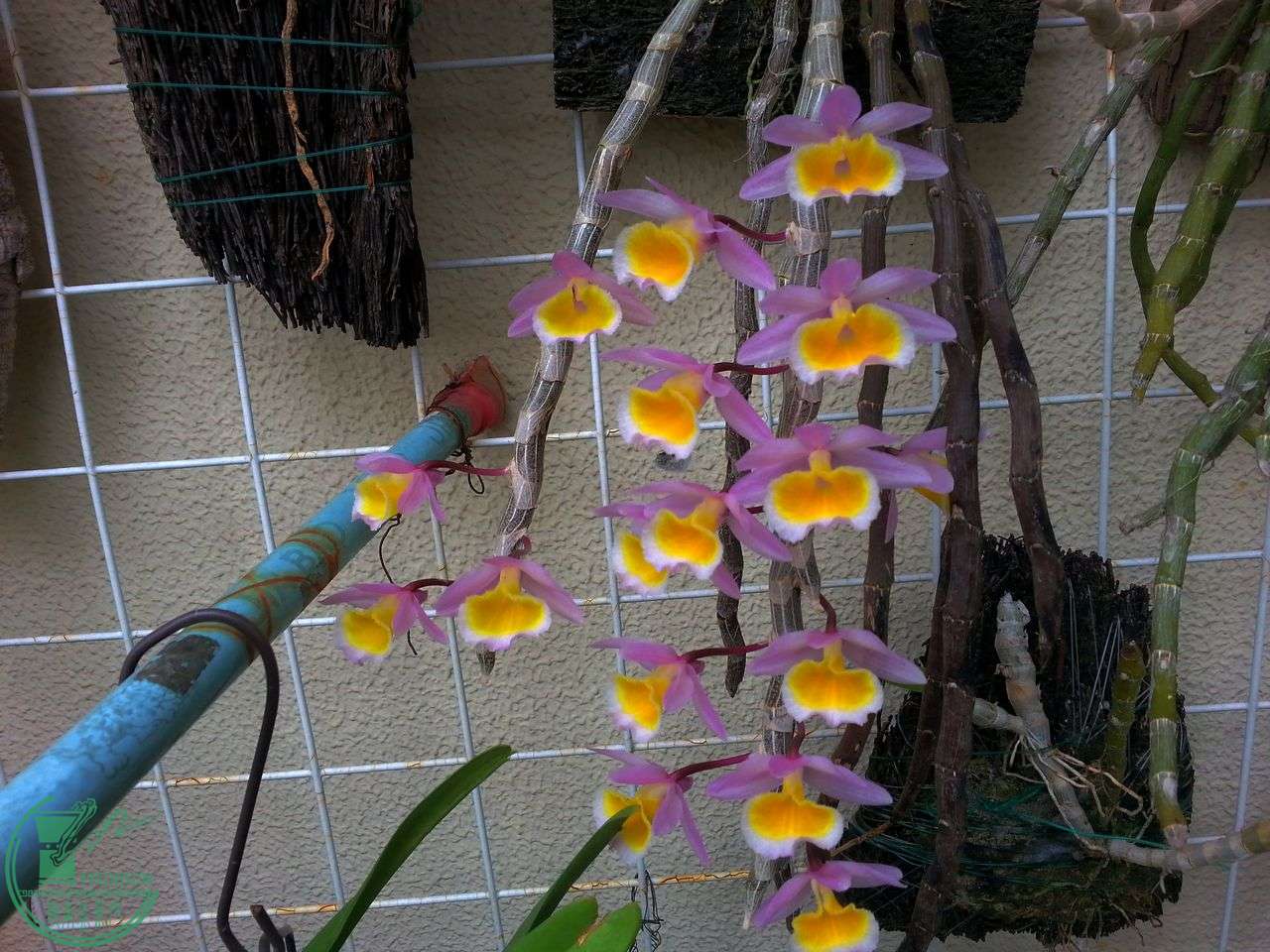 20150326_101240.jpg
