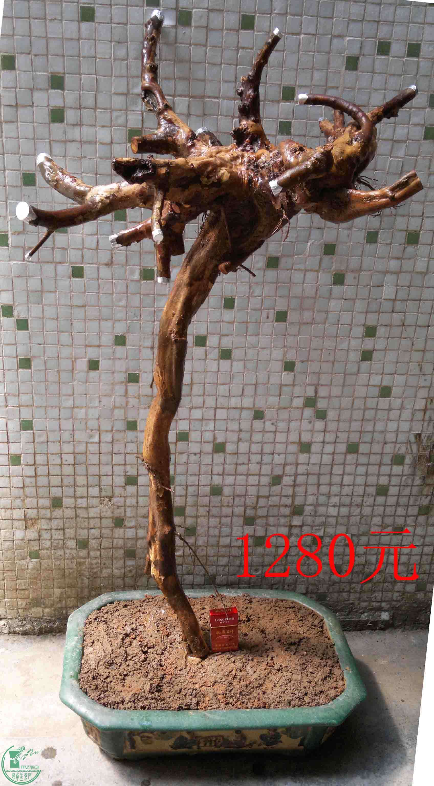 201504134741.jpg