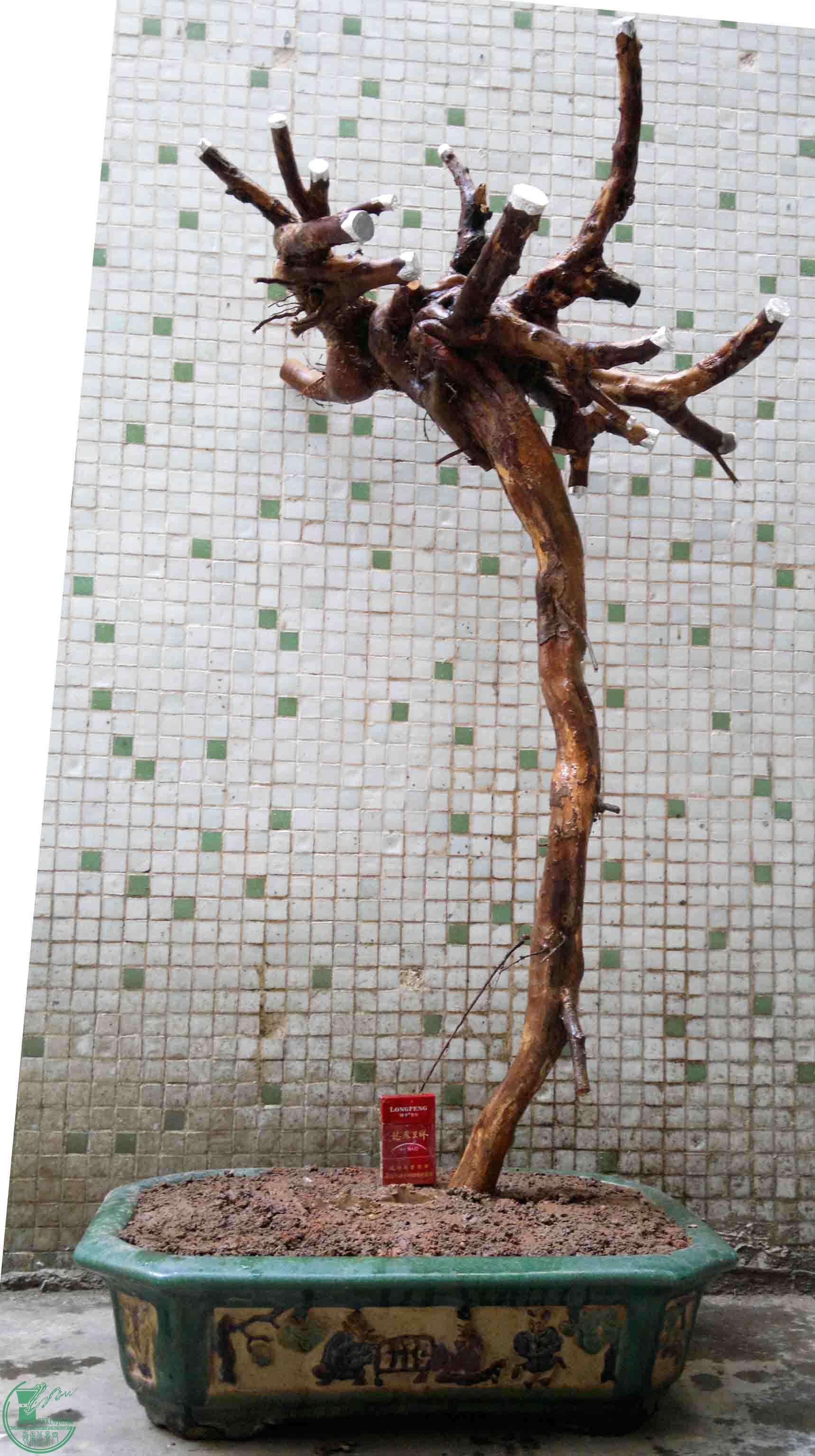201504134798.jpg