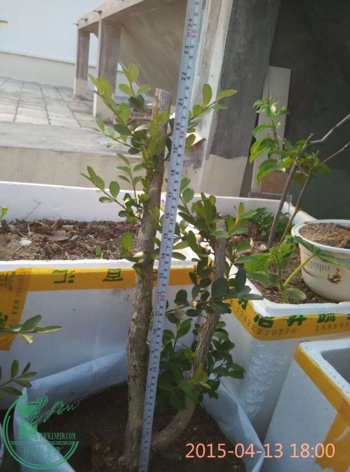 QQͼƬ20150413215143.jpg