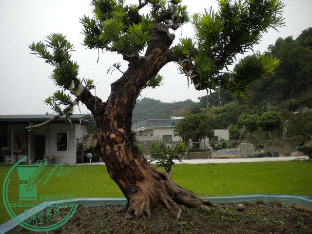 DSCN8021.JPG