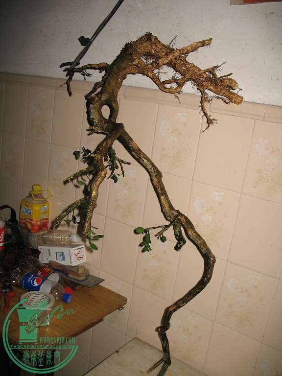 033.JPG
