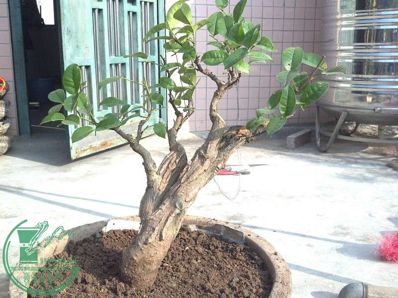 2015-4-14_09-17-28_24_www.moumu.com.jpg