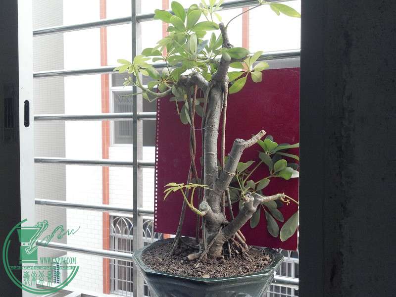 2015-04-14_16-33-05_94_www.moumu.com.jpg
